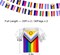 2 Packs Progress Rainbow Gay Pride Flag Banner String LGBTQ Inclusive Bunting Flags,66 Feet 60 Flags